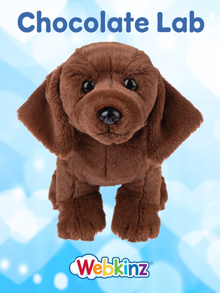Webkinz Chocolate Lab