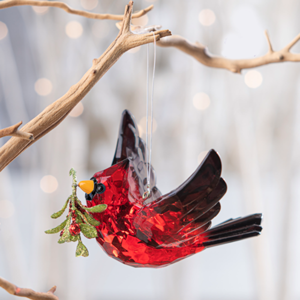 Radiant Red Cardinal with Mistletoe